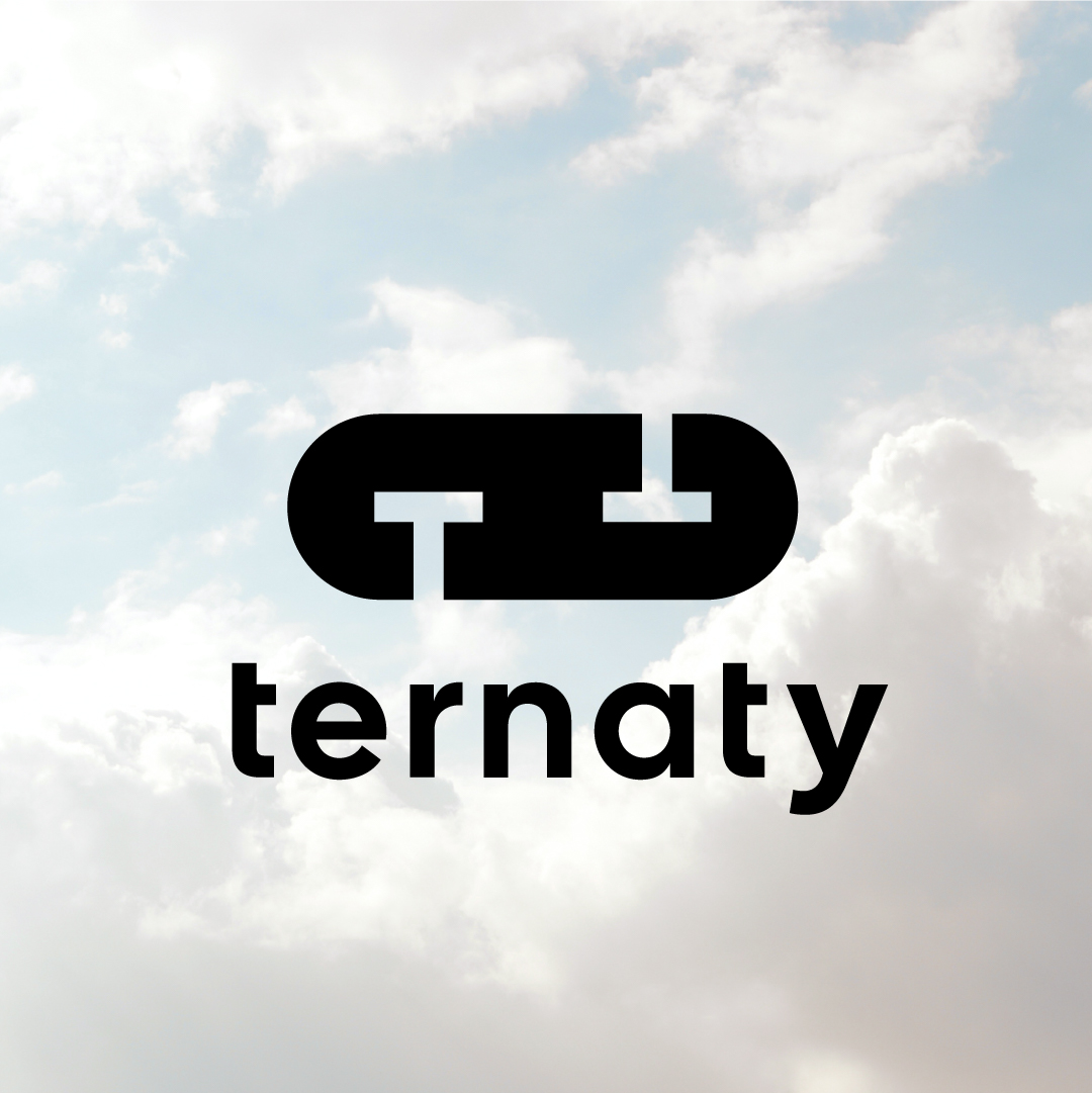 ternaty 3D Virtual Spaces Logo